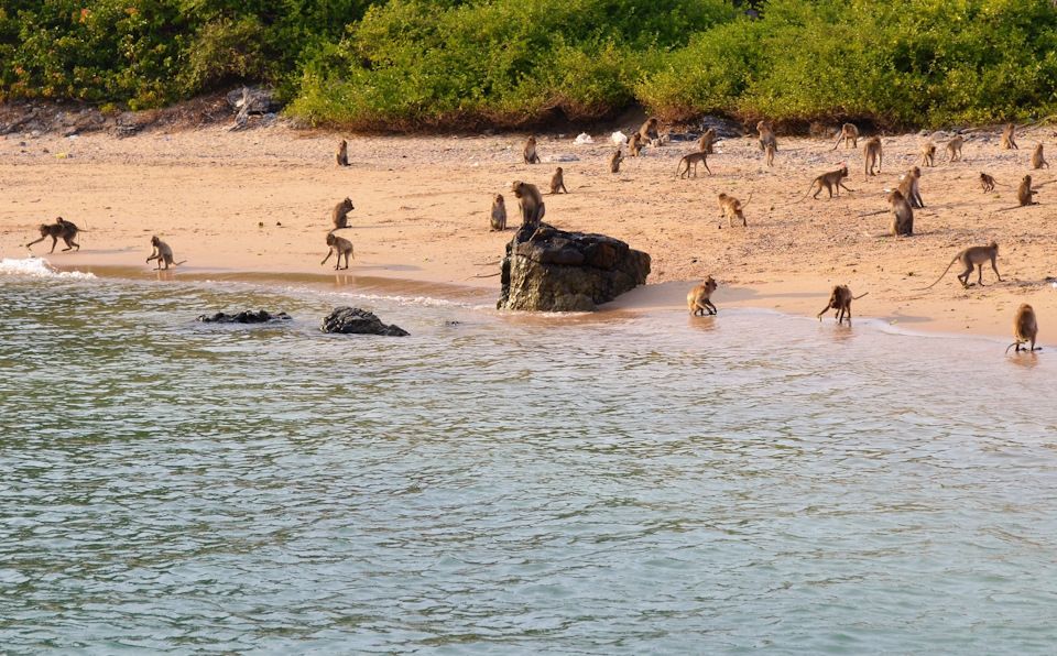 остров Ко Пет2